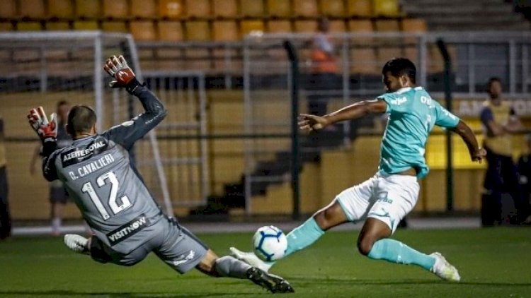 Palmeiras bate Botafogo e revê vitória depois de três partidas